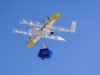 As entregas do Walmart feitas por drones da empresa Google poderão em breve chegar à área da baía de São Francisco