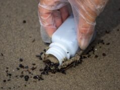 Um novo relatório sobre a poluição das praias após os incêndios em Los Angeles encontrou boas notícias