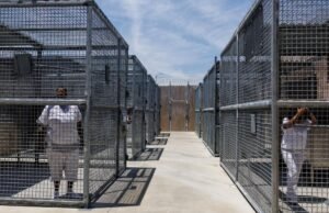 Califórnia pagará US$ 1,9 milhão a presidiárias que dizem que os guardas desencadearam violência em ‘zona de guerra’