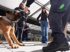 Chega de caos Noem. Mas não adicione champanhe ainda