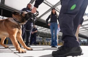 Chega de caos Noem. Mas não adicione champanhe ainda