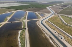 Alguns agricultores da Califórnia encontraram uma maneira de recuperar preciosas águas subterrâneas