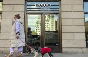 Por que os donos de animais de estimação estão ignorando as visitas ao veterinário, mas ainda pagando US$ 11.000 pela cirurgia