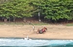 Três mortos em acidente de helicóptero turístico em Kauai