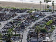 Buscando um contrato para o desenvolvimento de um parque destruído por um incêndio, realocando moradores
