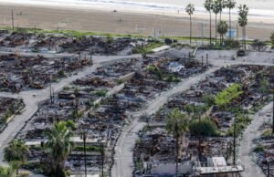 Buscando um contrato para o desenvolvimento de um parque destruído por um incêndio, realocando moradores