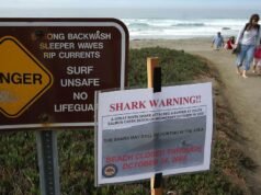 Esqueletos encontrados nas praias da Bay Area em 1999 e 2023 identificados