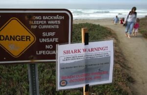 Esqueletos encontrados nas praias da Bay Area em 1999 e 2023 identificados