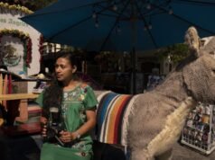 Jorge ‘El Burro’, o famoso burro da Rua Olvera, será demitido