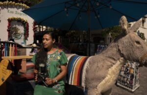 Jorge ‘El Burro’, o famoso burro da Rua Olvera, será demitido