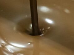 Ingrediente do Viagra, chocolate com pico, é recolhido na Califórnia