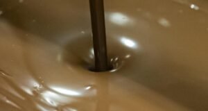 Ingrediente do Viagra, chocolate com pico, é recolhido na Califórnia