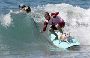 Campeão mundial de surf canino Sugar está lutando contra o câncer, diz proprietário
