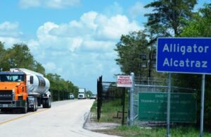 Os advogados dizem que os guardas espancaram e atiraram pimenta nos presidiários do ‘Alligator Alcatraz’, na Flórida.