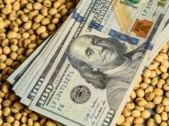 O que acontecerá às exportações e às receitas se a exploração agrícola for completamente abolida