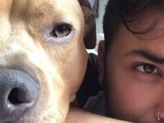 Magnus, animal de estimação de Camilo Triana, morre após segunda batalha contra o câncer: “Espere eu cruzar o arco-íris”