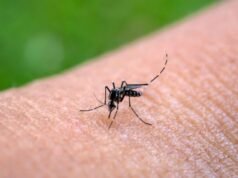 Há mais de 2.200 casos de dengue em Honduras e o país está em alerta para a propagação da doença