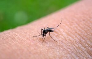 Há mais de 2.200 casos de dengue em Honduras e o país está em alerta para a propagação da doença