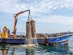 Mais de 530 mil consumidores peruanos serão protegidos após novas autorizações sanitárias para pesca