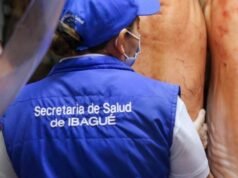 Fecharam três açougues em Ibagué por causa das baratas: cuidado com o que você come.