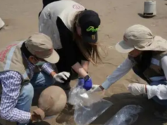 Arqueologia em leilão internacional reacende suspeita de contrabando ilegal ligado a sítios arqueológicos em Lima