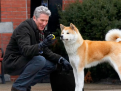 É por isso que a morte de um cachorro dói mais do que a de um humano em um filme, diz um veterinário.