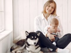 Os Huskies são uma das raças que mais protegem as crianças, e estes 4 comportamentos provam isso