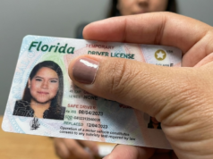 Flórida aprova lei que altera os requisitos para carteira de motorista: o que isso significa para os imigrantes