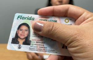 Flórida aprova lei que altera os requisitos para carteira de motorista: o que isso significa para os imigrantes