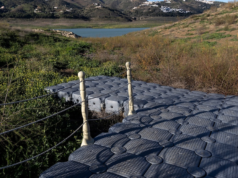 Reservatório da Espanha Quinta-feira, 2 de abril: reservas de água aumentaram 0,03%