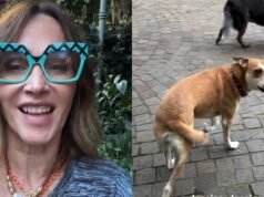 Vero Lozano testa seu cachorro com “Jessica”, o popular desafio anti-latidos: “É coisa de Mandinga”