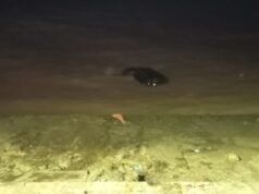 Uma mulher e sua filha caíram no Rio de La Plata quando o caminhão em que viajavam perdeu o controle.