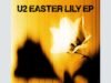 Este é ‘Easter Lily’, segundo EP lançado pelo U2 em 2026: seis músicas sobre renovação espiritual em tempos de guerra e caos.