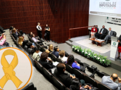 “Câmara dos Deputados: Políticas Urgentes para Acabar com o Suicídio e Melhorar a Saúde Mental no México