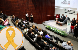 “Câmara dos Deputados: Políticas Urgentes para Acabar com o Suicídio e Melhorar a Saúde Mental no México