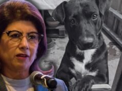 Quem é Mariela Gutiérrez, a anciã Morena por trás do sacrifício de 10 mil cães em Tecámac?