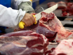 Recorde histórico: quantos dólares a exportação de carne bovina recebeu em 2025