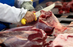 Recorde histórico: quantos dólares a exportação de carne bovina recebeu em 2025