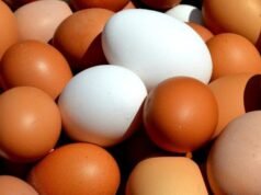 Comer ovos de manhã ou à noite: benefícios, como nos afeta e qual a melhor opção