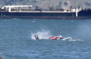 Windsurfista colide com baleia cinzenta na Baía de São Francisco