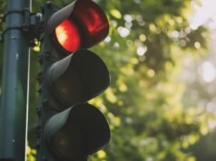 Ele esperava o abaixamento do semáforo e uma árvore bateu em seu carro: a Justiça condenou o município por falta de manutenção.