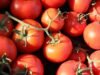 Tomate: propriedades, benefícios e contra-indicações