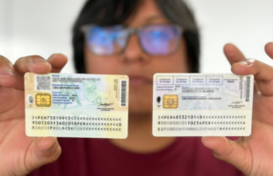 Eleição 2026: Deputados da mesa não vão mais colocar adesivo no verso da carteira de identidade, diz ONPE