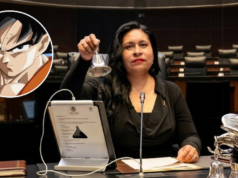 “Eu sou como o Goku”: senador Morena viraliza após se comparar ao personagem de Dragon Ball