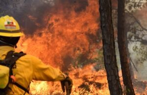 Estes são os estados com mais incêndios florestais no México: mais de 4 mil hectares afetados