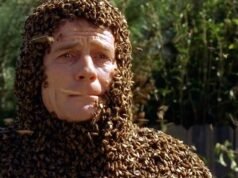 O dia em que Bryan Cranston foi coberto por 60.000 abelhas por “Malcolm” e sofreu uma picada nos órgãos genitais.