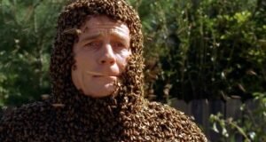 O dia em que Bryan Cranston foi coberto por 60.000 abelhas por “Malcolm” e sofreu uma picada nos órgãos genitais.