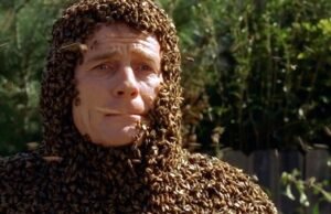 O dia em que Bryan Cranston foi coberto por 60.000 abelhas por “Malcolm” e sofreu uma picada nos órgãos genitais.