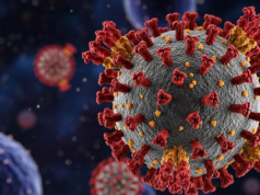 Especialistas alertam sobre a propagação do SARS-CoV-2 do tipo “cigarra” entre crianças nos Estados Unidos.