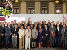 Os preços do tomate cairão: Sheinbaum concorda em manter a cesta básica do PACIC em 910 pesos